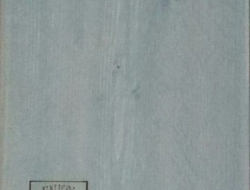 Washeffect - Enjoy Steigerhout - MINT WASH